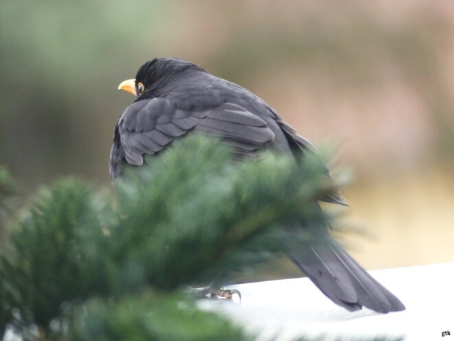 La vie, rien d’autre