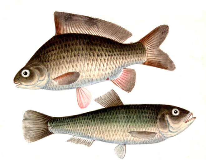 Au-delà de l'impermanence