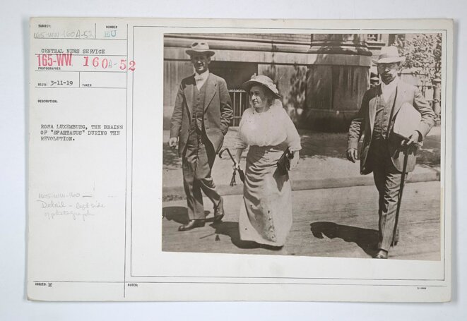 Rosa Luxemburg, activités ennemies, fiche du war department