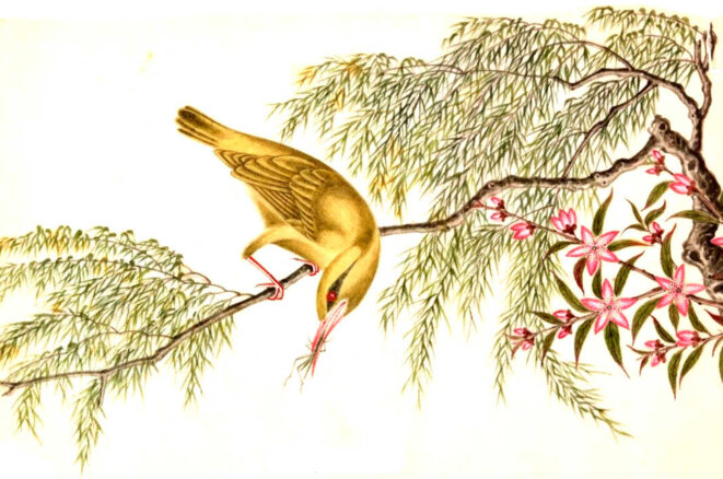 Au pied de la lettre