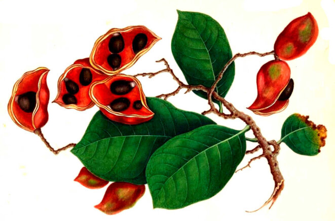 Désirer, désirer...