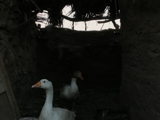 Mahdy Abo Bahat et Abdo Zin Eldin, réalisateurs de Ozr El Wezzah / The Goose’s Excuse