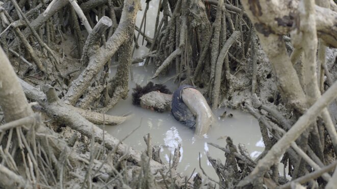 Entretien avec Filipa César et Marinho de Pina, réalisateurs de Resonance Spiral