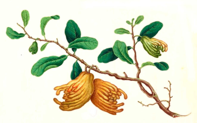 Initiation dans le secret