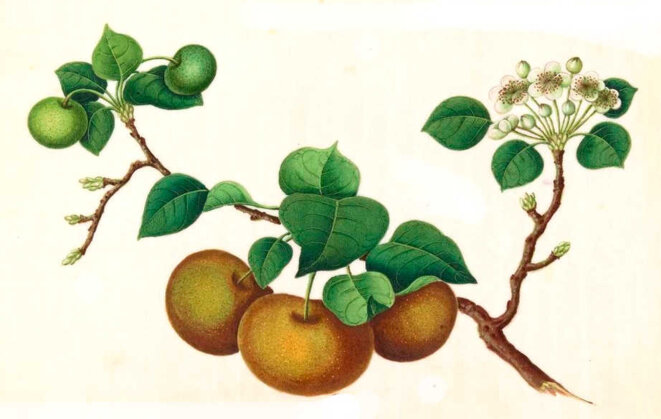 Sortir de sa coquille