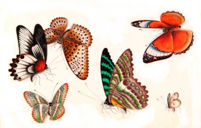 Quelles profondes ténèbres !