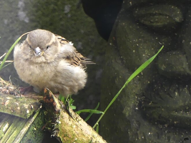 Jésus était palestinien