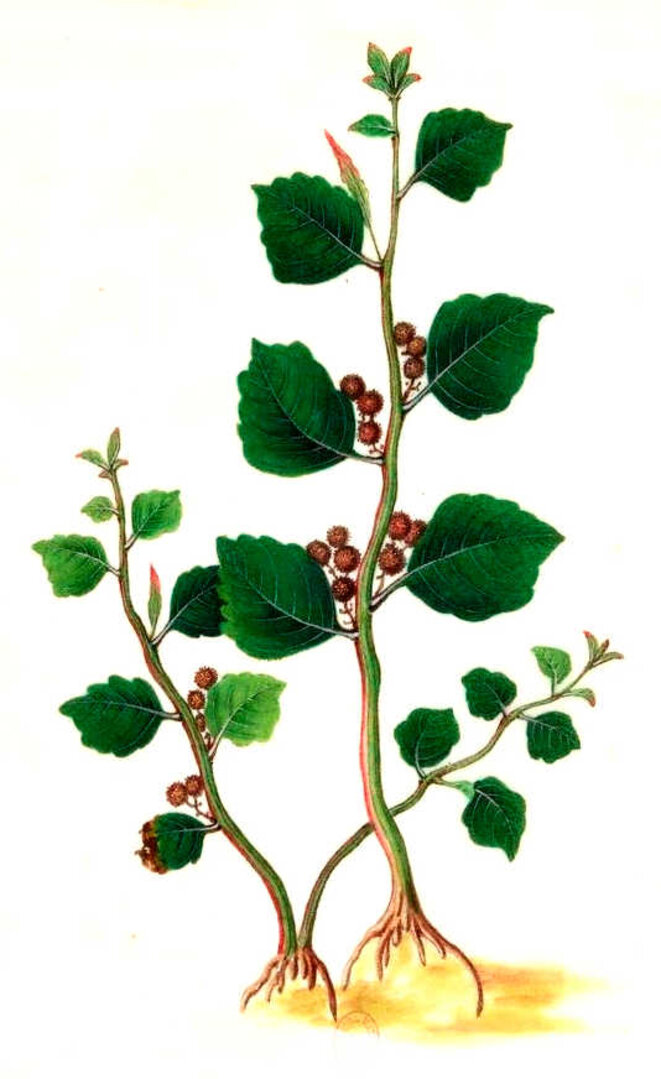 Vas-y toi d'abord...