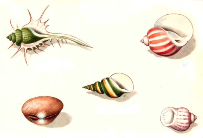 Premiers pas au-delà