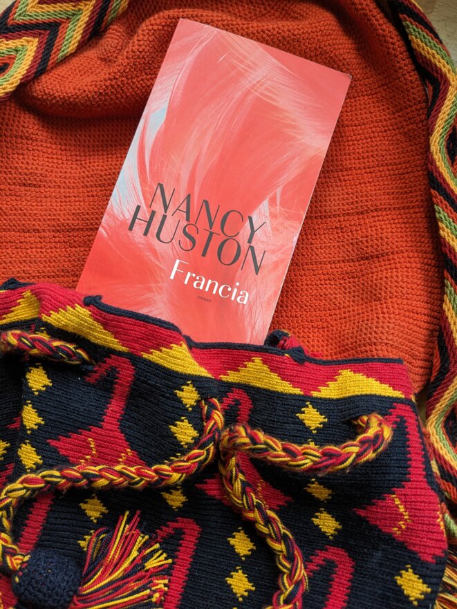 Éclairage sociologique sur « Francia », roman de Nancy Houston