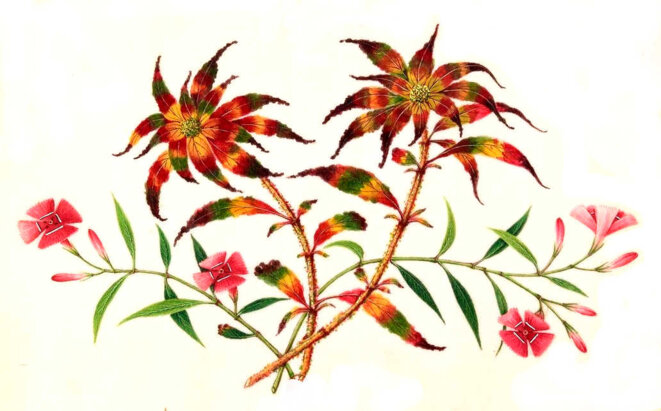 Ne le dis à personne !