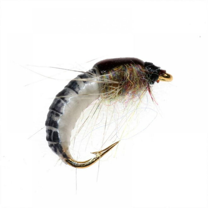 Scud Nymph (avatar)