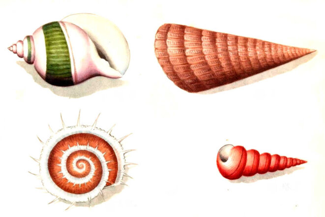 Chacun son tour, moi d'abord