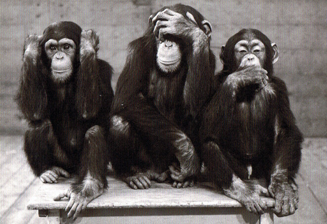 La violence n'est qu'un viol de nos libertés