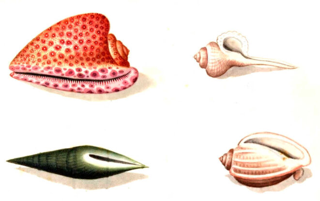 Qui ne risque jamais rien...