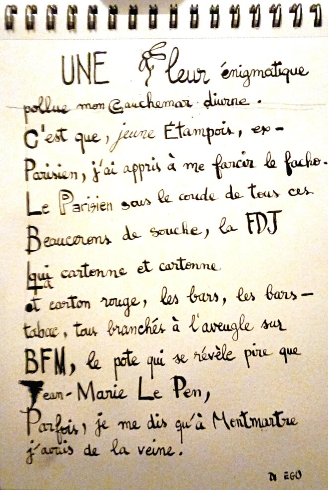 Une fleur très énigmatique