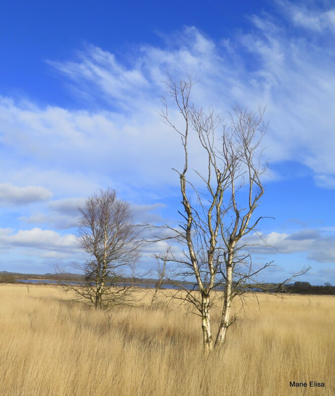 Disponibilité, compétence et gentillesse des soignants en centre Bretagne.