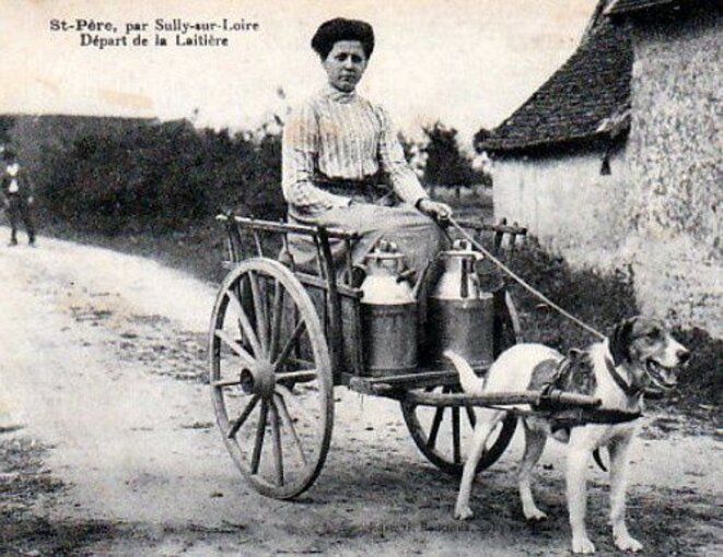 La laitière…