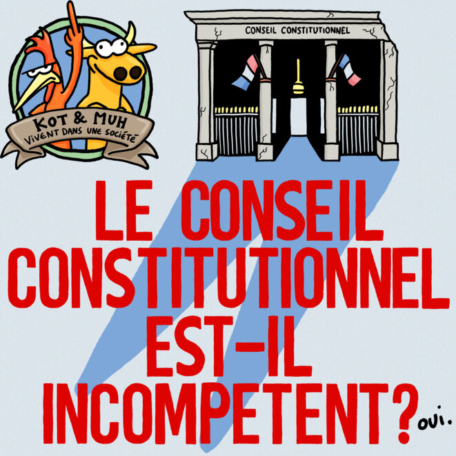 Le Conseil constitutionnel est-il compétent ?