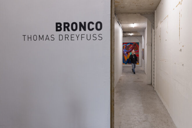 Thomas Dreyfuss, la peinture indocile