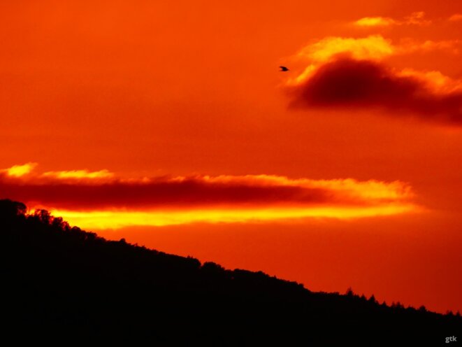 Cessez le feu et libérez les otages