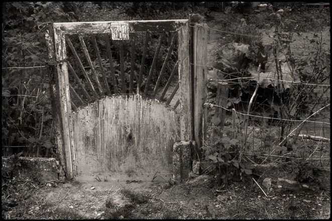 Le bonheur est peut-être là où nous ne le cherchons pas