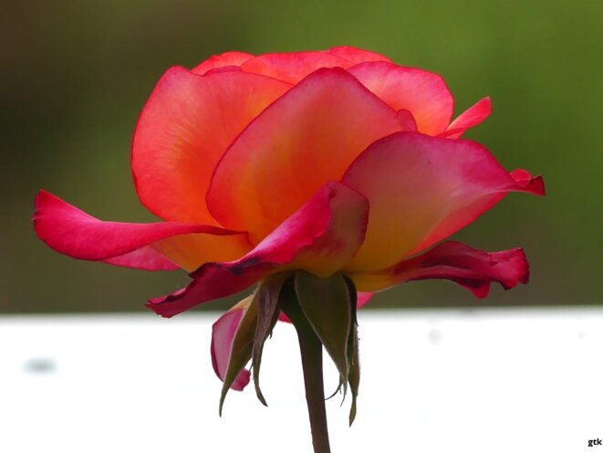 Et maintenant la Calédonie