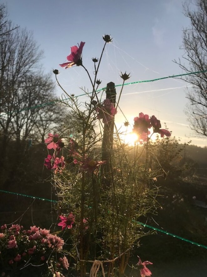 Nouveau Front Populaire: un espoir mais que de temps perdu!