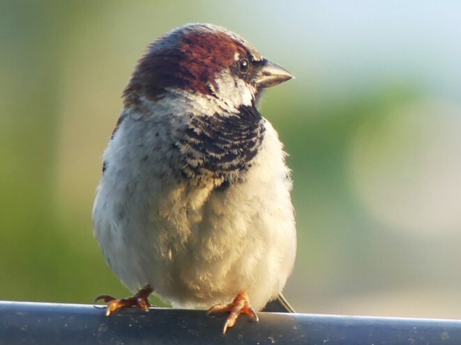 Les jeunes emmerdent le rassemblement national