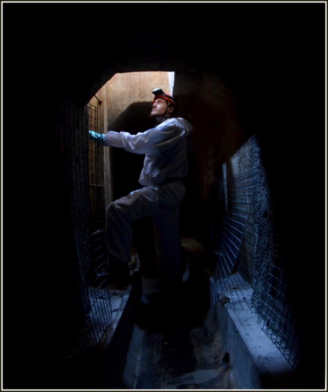 damnare.cloaca (avatar)