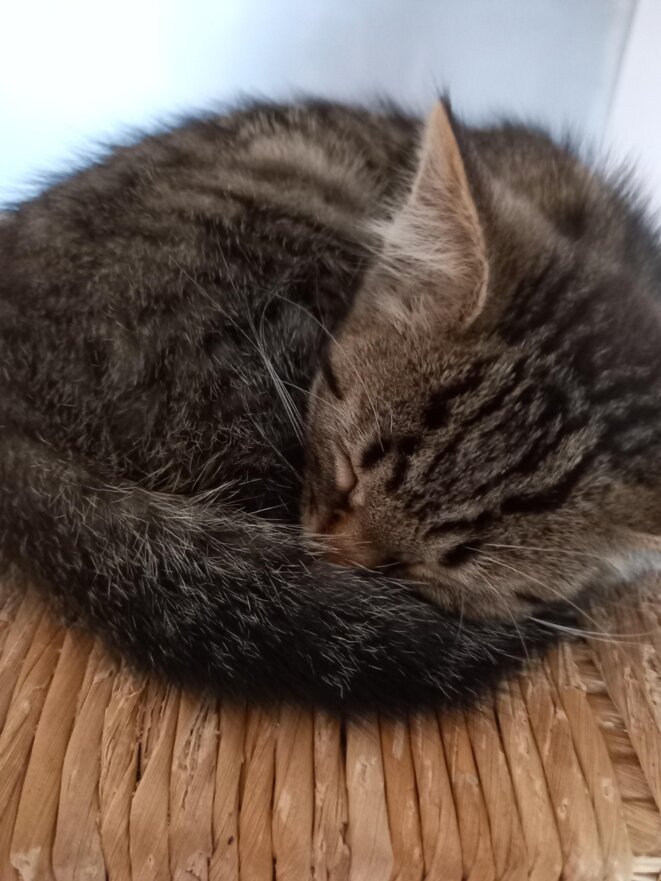 Un lundi comme un autre