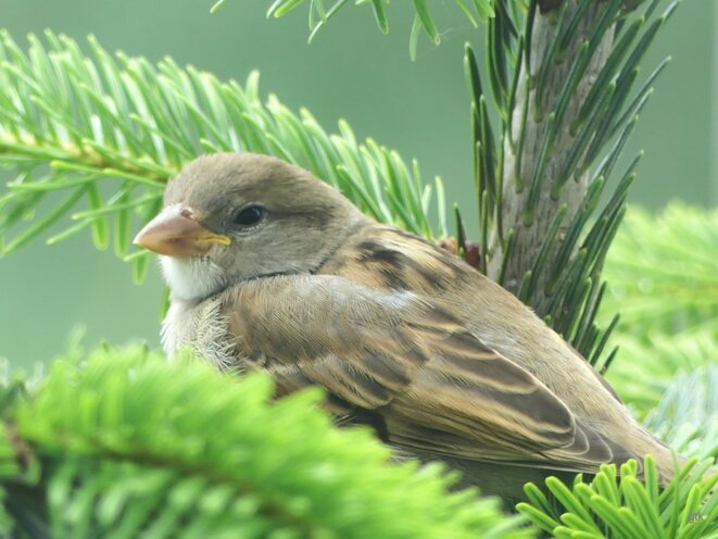 La gauche doit gouverner