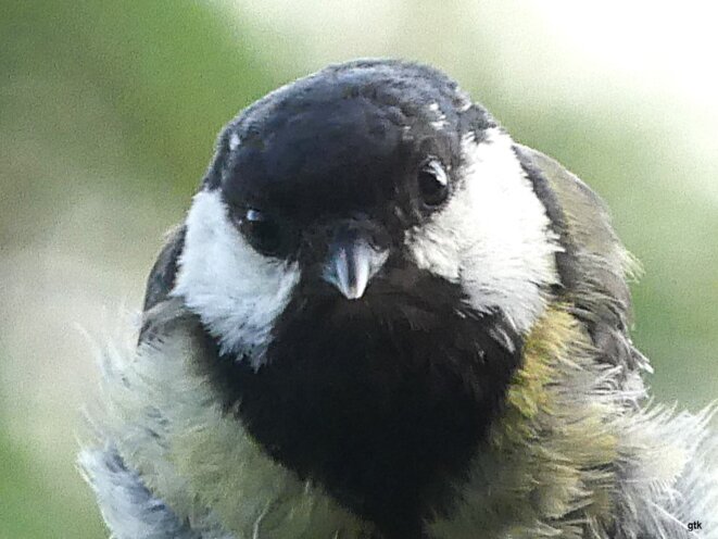 Alors ce premier ministre de gauche ?