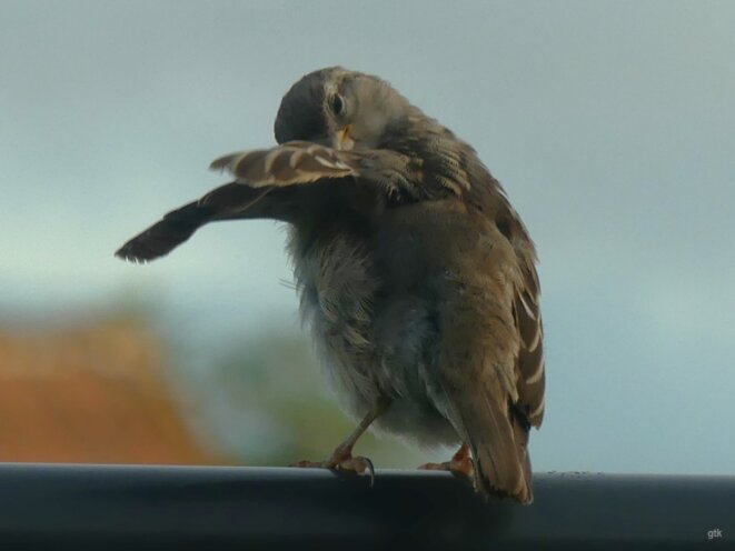 Salut à ceux qui nous aime !