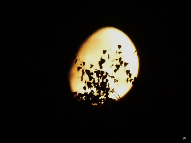 J’ai demandé à la lune