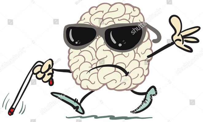 L'hypothèse du cerveau aveugle