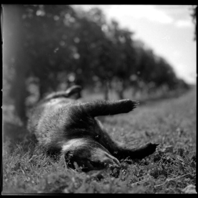 Les mots dits / Oubli