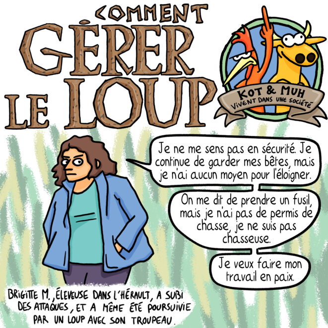 Le loup, meilleur ennemi de l'homme