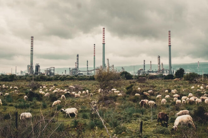 « Toxicily » de François-Xavier Destors