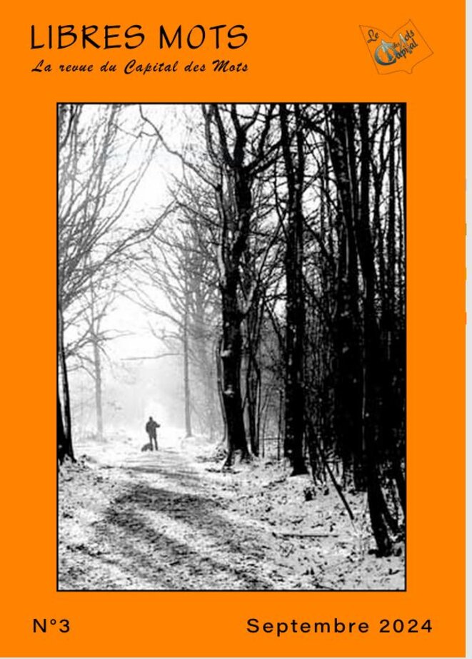 Parution du n° 03 de la revue en ligne Libres Mots
