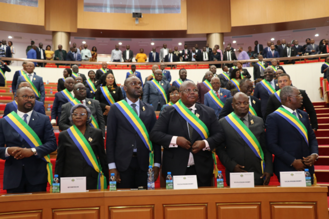 Assemblée constituante : Une esquisse  constitution sur mesure