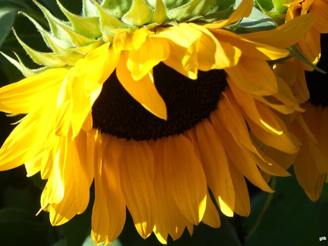 La vie, rien d’autre…