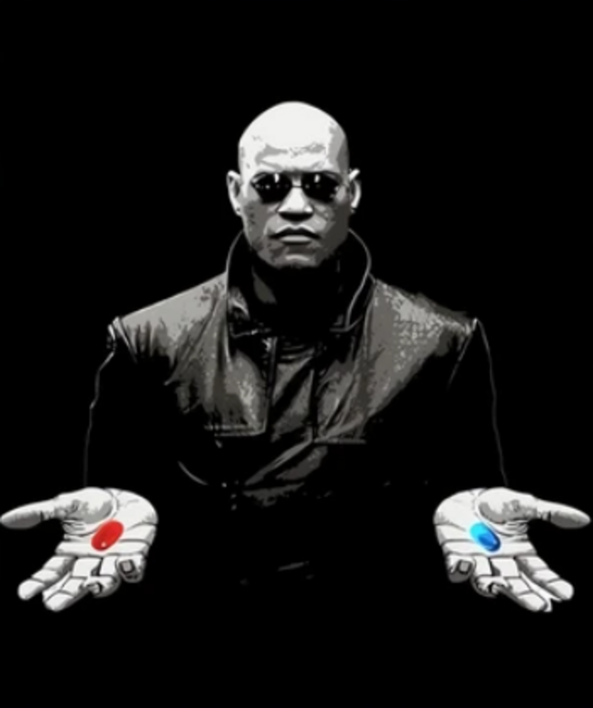 "Ni Maître Ni Chaîne" : un film sur l'anarchie et la lutte contre la domination