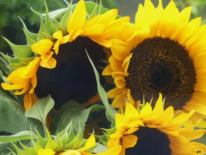 « Une sacrée envie de foutre le bordel »