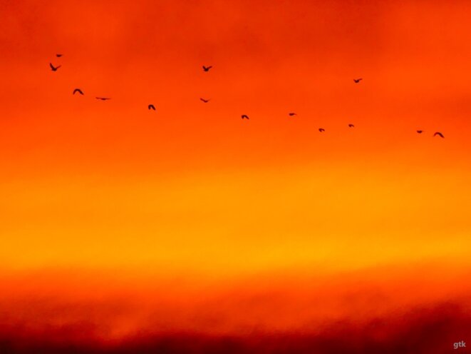 Le « en même temps » nous a mené au fascisme