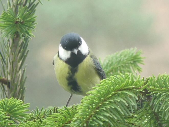 Nous on sera toujours là