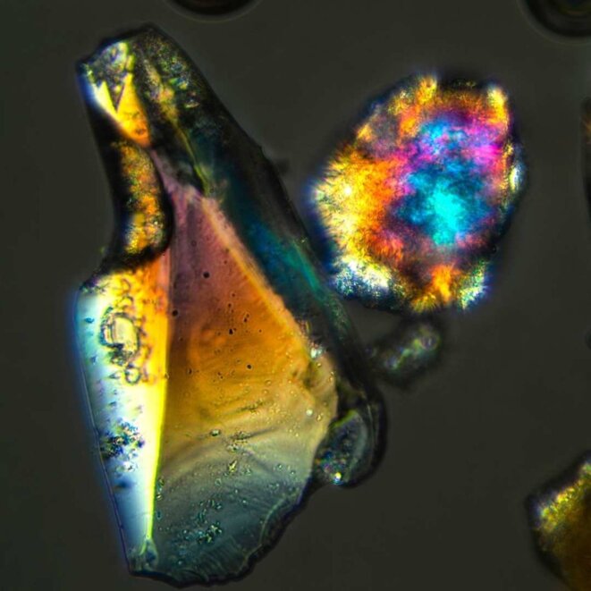 Aimer, juste aimer aimer