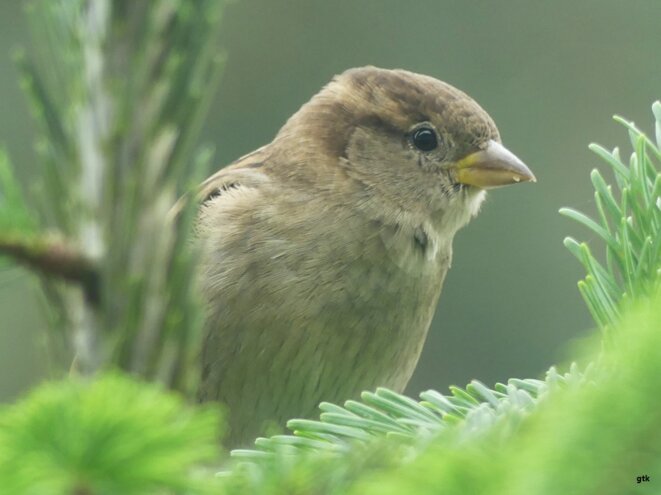 C’est ça la France ?