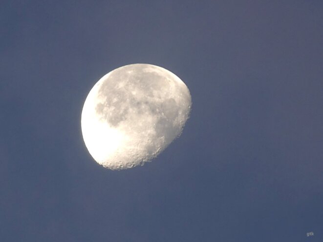 Nous ne serons jamais antisémites !
