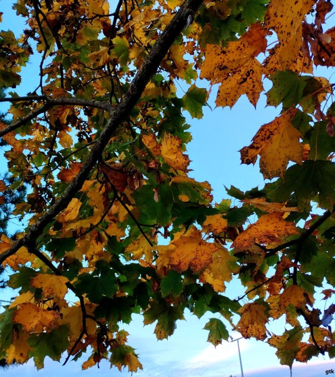 J’ai passé 1h33 avec Souleymane